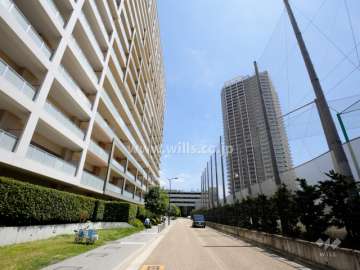 敷地南側の前面道路。道を挟んで、『摂津市立第一中学校』があります。