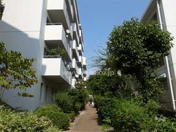 敷地南側は緑道に面しています。