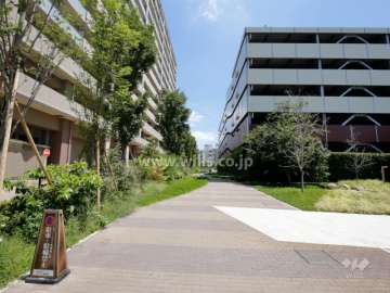 敷地南側には隣地マンションの駐車場棟があります。