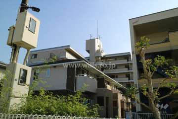 コラールベフの外観(北側から)