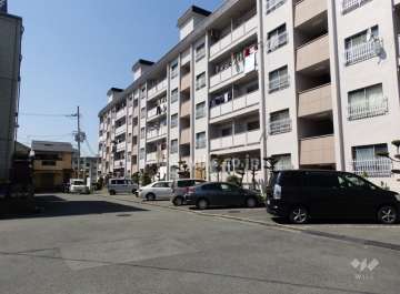 敷地南側前面道路