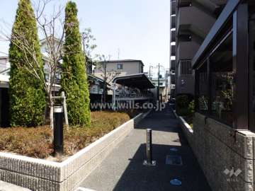 敷地北側の通路