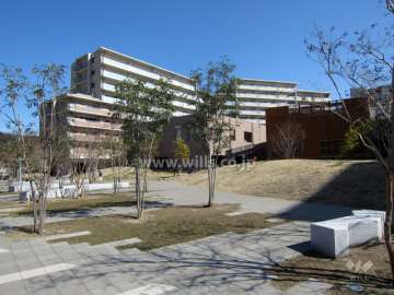 敷地内の各所に植栽スペースがあります。