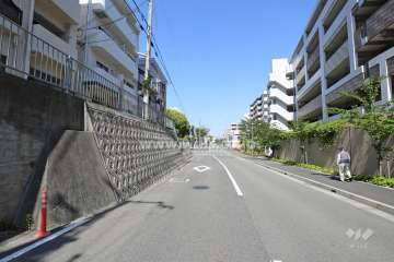 敷地北側の前面道路（西側から）