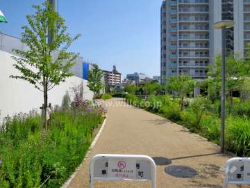 敷地東側の通路（北側から）