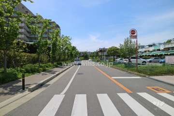 敷地北側前面道路(東側から)