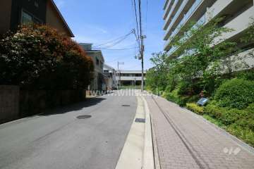敷地西側前面道路(西側から)