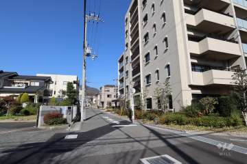 敷地西側の前面道路