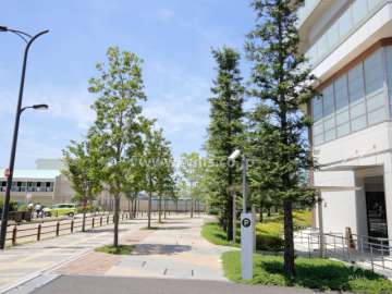 敷地南側の前面道路