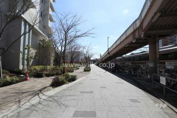 敷地西側の前面道路(北側から)