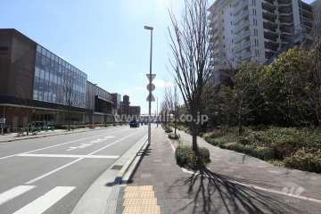 敷地東側の前面道路(北側から)