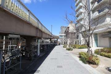 敷地西側の前面道路(南側から)