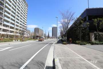 敷地北側の前面道路(西側から)