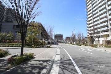 敷地北側の前面道路(東側から)