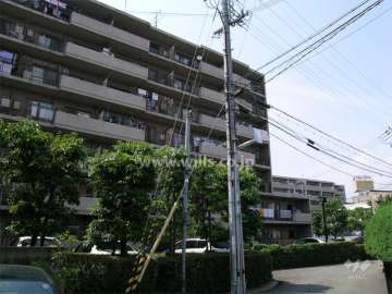 外観（東側から見る）