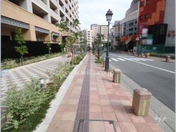 敷地南西側前面道路（北西方向から）