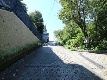 敷地西側の前面道路（北側から）