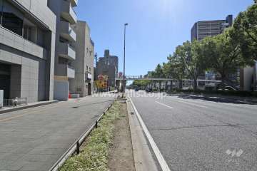 敷地西側の前面道路（北側から）
