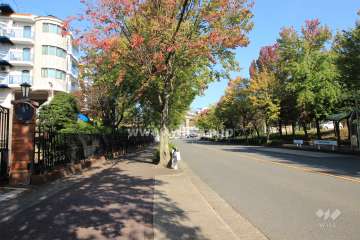 敷地南東側の前面道路