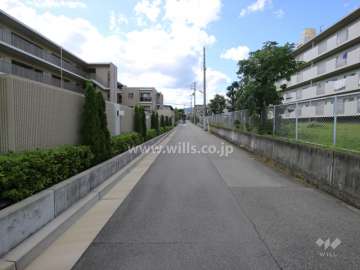敷地北西側の前面道路（北東側から）