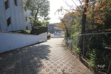 敷地西側の前面道路。坂道になっています。