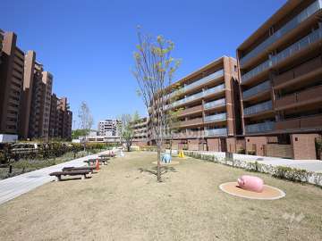 F棟南側の公園（陽だまりの庭）