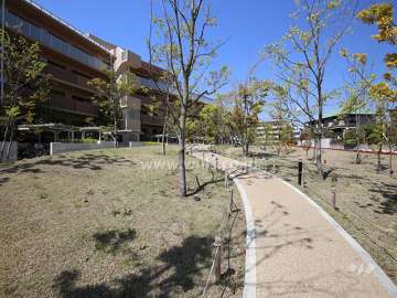 G棟の北側の公園