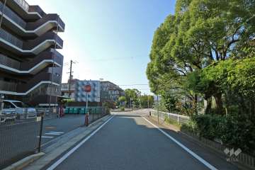 敷地北東側の前面道路（南東側から）