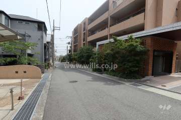 敷地の東側前面道路（北側から）
