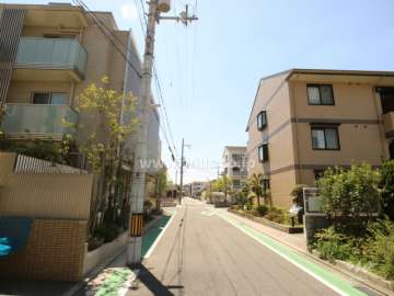 西前面道路(北側から)