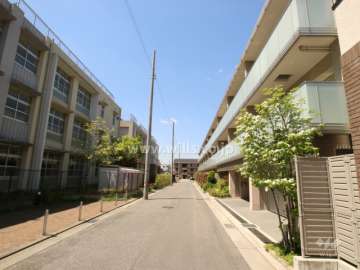 南側前面道路(東側から)