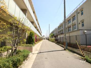 南前面道路(西側から)