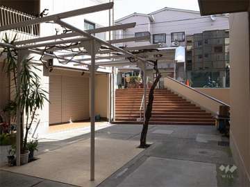 中庭