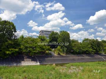 近くに隣接する公園