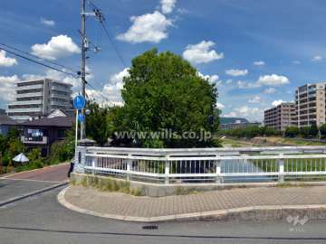 周囲に隣接する桜並木と芥川