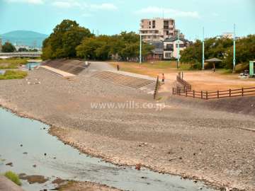 Brillia高槻桜堤公園の遠景。芥川堤公園と芥川