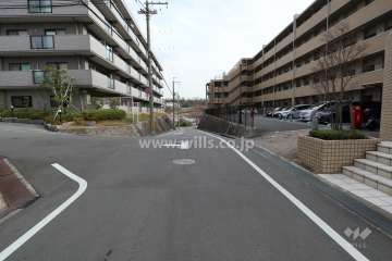 敷地北側の前面道路（西側から）