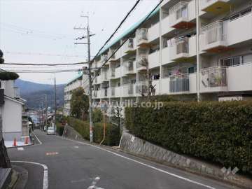 敷地南側の前面道路