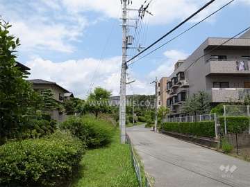 敷地の西側には緑道があります。