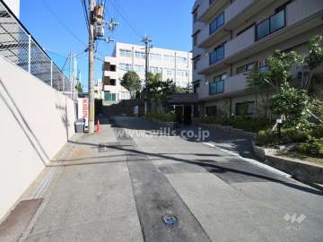 敷地西側の前面道路（南側から）