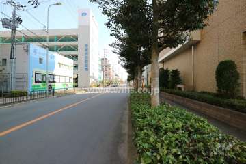 敷地北側の前面道路
