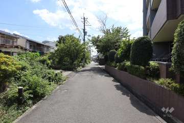 敷地東側の前面道路（南方向）