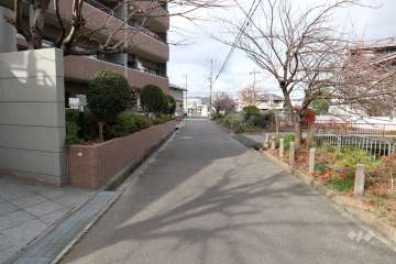 敷地東側の前面道路（南側から）