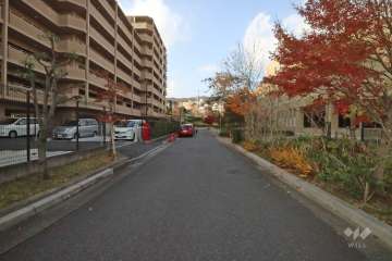 敷地北東側の前面道路（南側から）