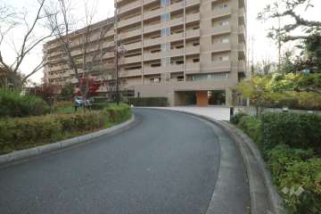 敷地北東側の前面道路（北東側から）