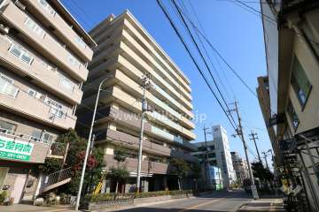 レヴィヴィア高槻の外観（南西側から）