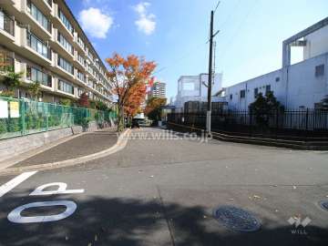 敷地南側の前面道路(西側から)