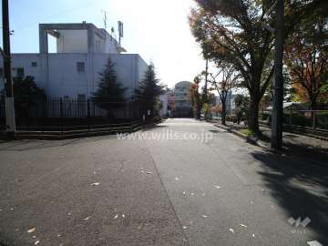 敷地南側の前面道路（北側から）