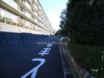 敷地北側の前面道路