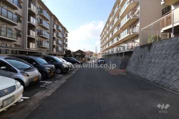 敷地北側の前面道路(東側から)